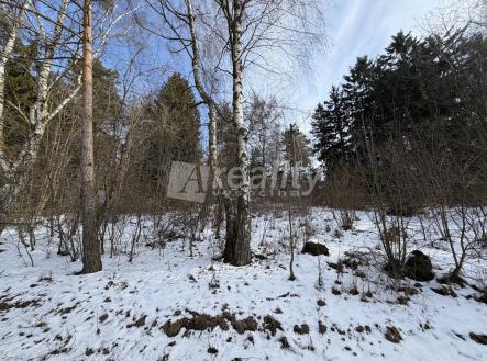 IMG_0737 | Prodej - pozemek, ostatní, 2 007 m²