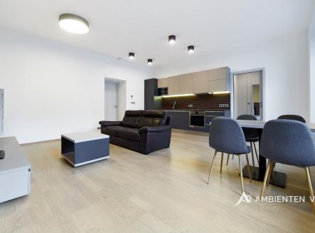 palac_chlumeckych_4_6_031376 | Pronájem bytu, 2+kk, 65 m²