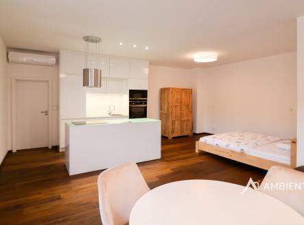 IMG_2324 kopie | Pronájem bytu, 1+kk, 53 m²