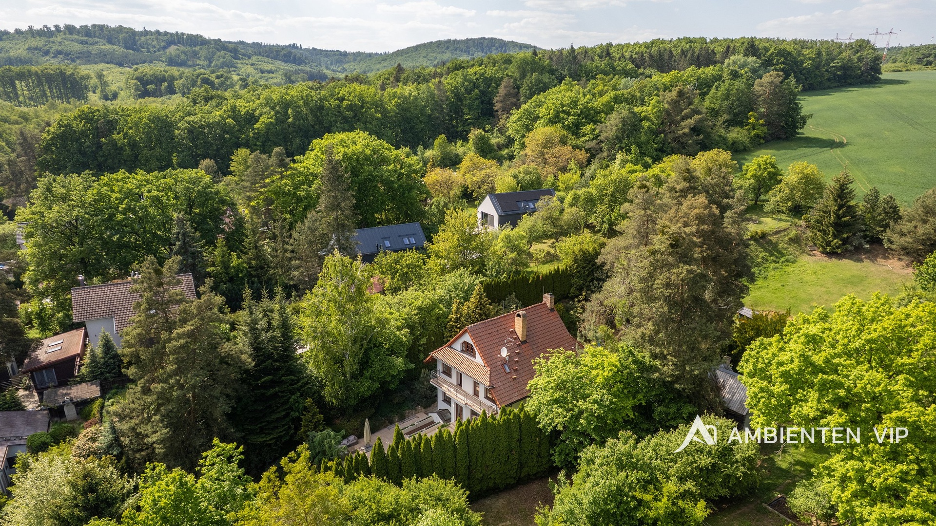 DJI_0699