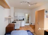 Pronájem bytu, 1+kk, 27 m²