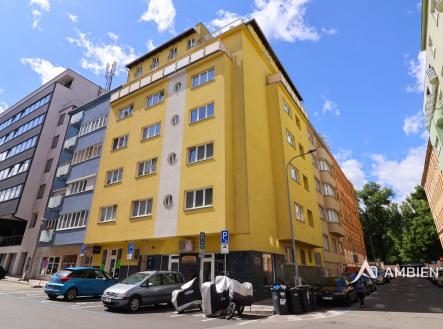 IMG_0387 kopie | Pronájem bytu, 1+kk, 27 m²