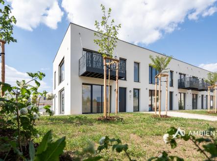 Z71_0386 | Prodej bytu, 2+kk, 79 m²