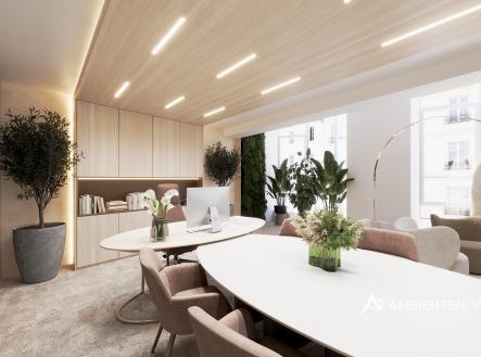 Kancelare_Petrov_F1_27 | Pronájem - kanceláře, 506 m²