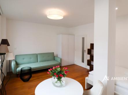 IMG_1121 kopie | Pronájem bytu, 2+kk, 35 m²