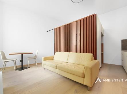 masarykova_13_byt_3_3_0140121 | Pronájem bytu, 1+kk, 35 m²