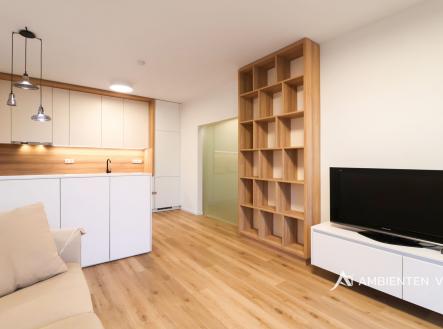 IMG_2051 kopie | Pronájem bytu, 3+kk, 62 m²