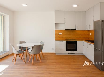 IMG_2530 kopie | Pronájem bytu, 1+kk, 41 m²