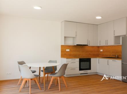 IMG_2501 kopie 2 | Pronájem bytu, 1+kk, 41 m²