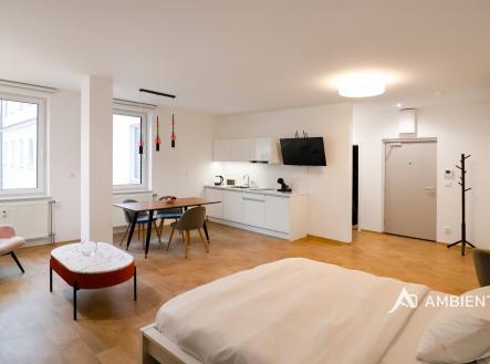 IMG_2251 kopie 2 | Pronájem bytu, 1+kk, 52 m²