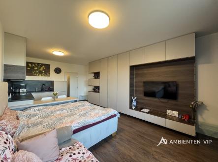 IMG_3715 | Pronájem bytu, 1+kk, 36 m²