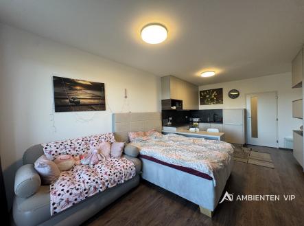 IMG_3714 | Pronájem bytu, 1+kk, 36 m²