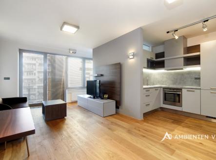 anenske_terasy_4_8_045915 | Pronájem bytu, 1+kk, 40 m²