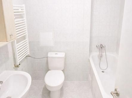 3 | Pronájem bytu, 1+kk, 50 m²