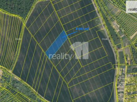 Prodej - pozemek, zemědělská půda, 8 043 m²