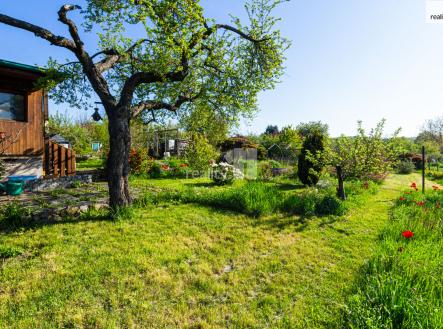 Prodej - pozemek, zahrada, 418 m² obrázek