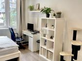 Pronájem bytu, 1+kk, 24 m²