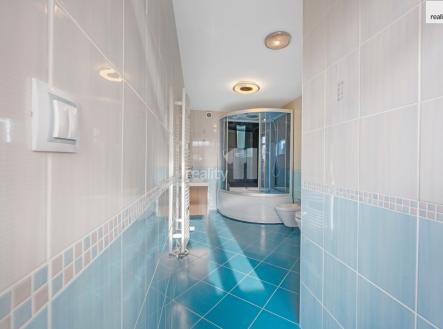 4 | Prodej - dům/vila, 516 m²