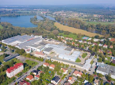 Pronájem - kanceláře, 23 m²
