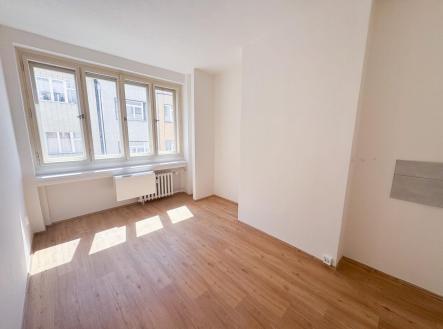 Pronájem bytu, 1+kk, 17 m²