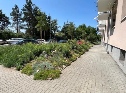 . | Pronájem bytu, 2+kk, 49 m²