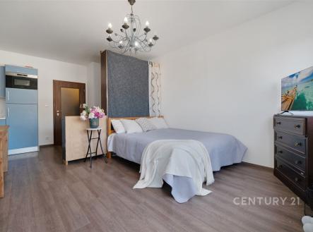 Obývací pokoj  | Prodej bytu, 2+kk, 62 m²