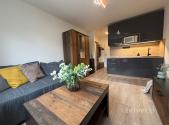 Pronájem bytu, 1+kk, 19 m²