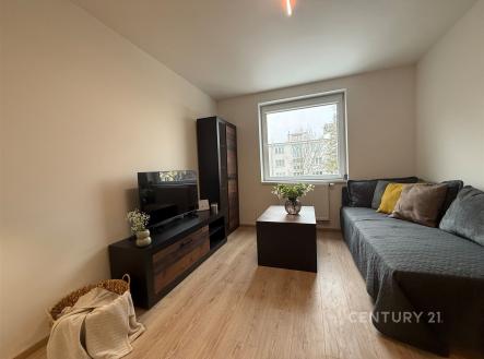 . | Pronájem bytu, 1+kk, 19 m²