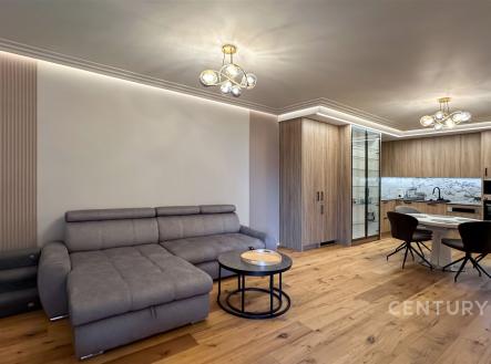 Obývací pokoj s kuchyňským koutem | Pronájem bytu, 3+kk, 62 m²