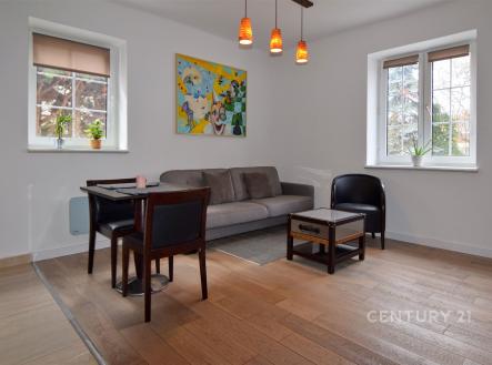 . | Pronájem bytu, 2+kk, 55 m²