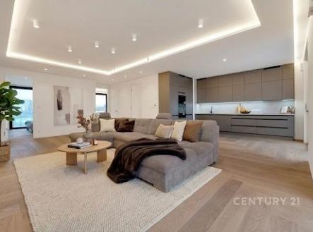 . | Pronájem bytu, atypický, 167 m²