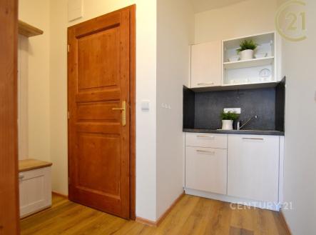 . | Pronájem bytu, 1+kk, 29 m²