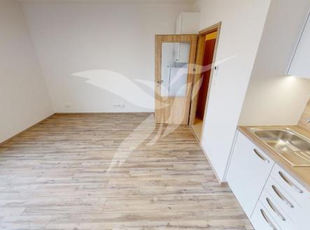 Nemocnicni-30206-301-00-Plzen-03122021_141538.jpg | Pronájem bytu, 1+kk, 30 m²