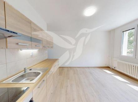 Byt-11-Karla-Steinera-24-Plzen-06262025_082720.jpg | Pronájem bytu, 1+1, 36 m²