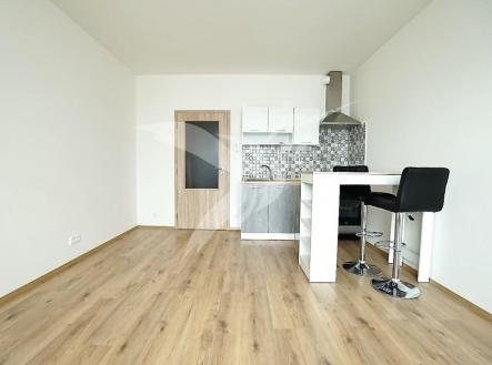 DSC03106.jpeg | Pronájem bytu, 1+kk, 29 m²