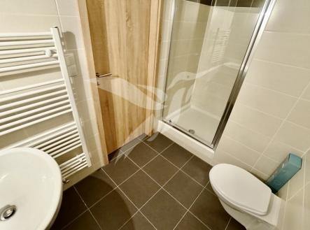 DSC02686.jpeg | Pronájem bytu, 1+kk, 29 m²