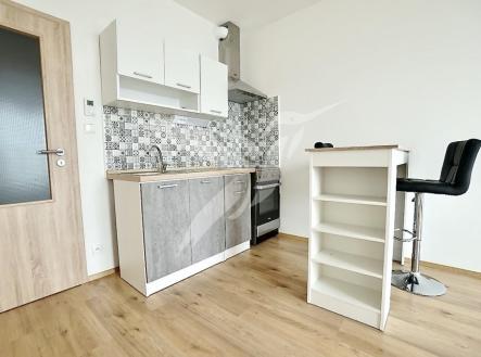 DSC03107.jpeg | Pronájem bytu, 1+kk, 29 m²