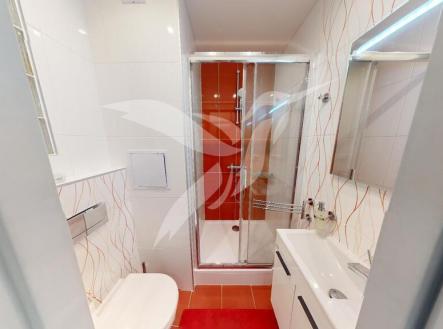 Byt-11-K-Chlumu-243-Dysina-11282023_095355.jpg | Pronájem bytu, 1+1, 35 m²