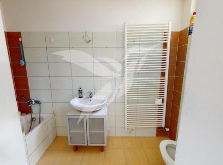 Byt-3kk-Revolucnich-gard-205-Bezdruzice-07172023_091106.jpg | Pronájem bytu, 2+1, 59 m²