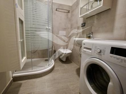 DSC05924.JPG | Pronájem bytu, 1+1, 38 m²