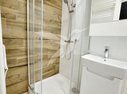 DSC04299.jpeg | Pronájem bytu, 1+kk, 31 m²