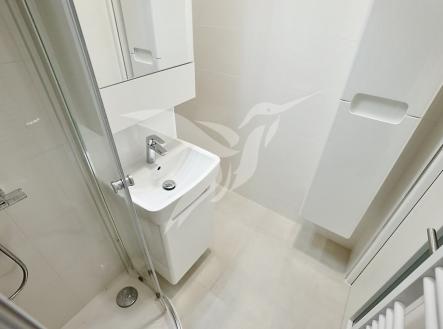 DSC04301.jpeg | Pronájem bytu, 1+kk, 31 m²