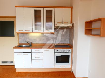 P1060952.JPG | Pronájem bytu, 1+1, 47 m²