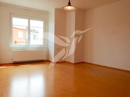 P1060934.JPG | Pronájem bytu, 1+1, 47 m²