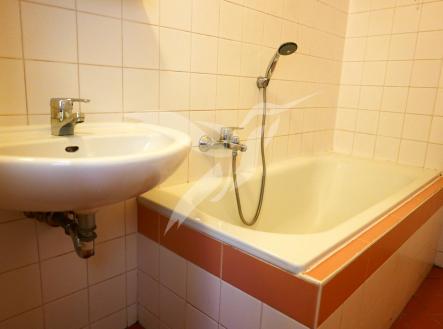 P1060939.JPG | Pronájem bytu, 1+1, 47 m²