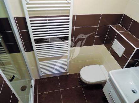 dscn8315.JPG | Pronájem bytu, 1+kk, 36 m²