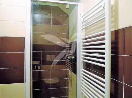 dscn8317.JPG | Pronájem bytu, 1+kk, 36 m²