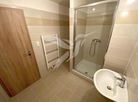 IMG_2681.jpeg | Pronájem bytu, 1+kk, 30 m²