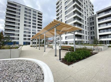 IMG_2695.jpeg | Pronájem bytu, 1+kk, 30 m²