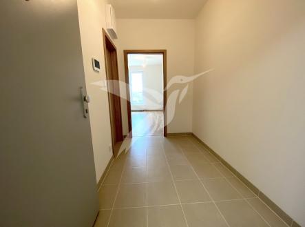 IMG_2682.jpeg | Pronájem bytu, 1+kk, 30 m²